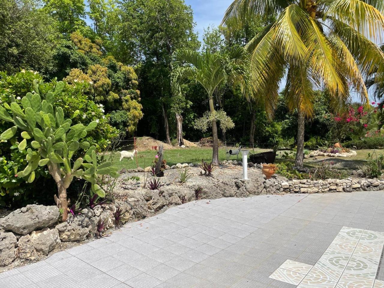 L'Aseta Paradise Grand-Bourg Kültér fotó