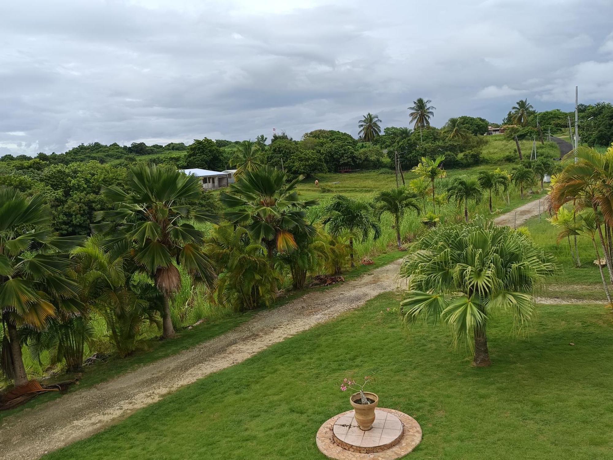 L'Aseta Paradise Grand-Bourg Kültér fotó